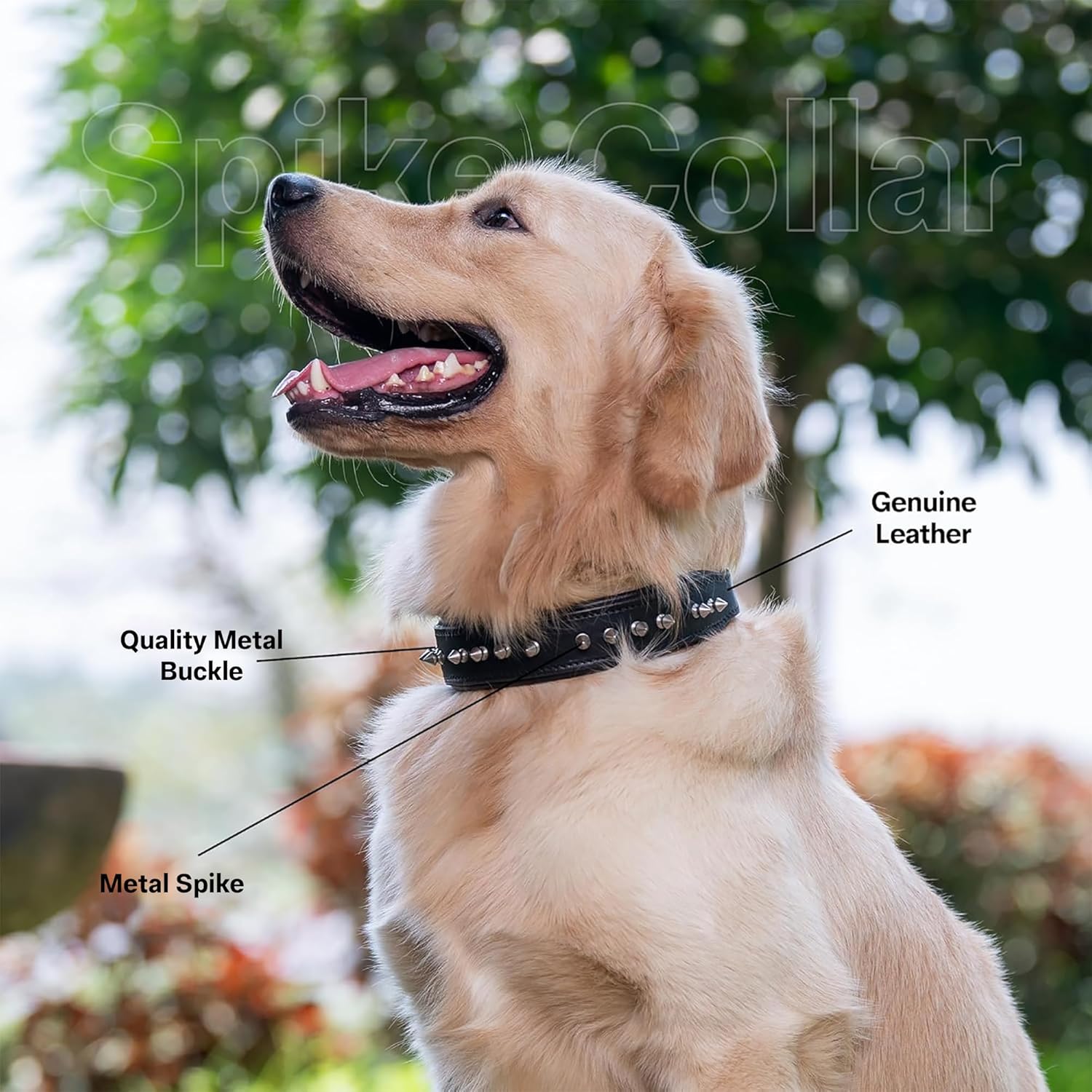Adil’S Leather Spike Dog Collar for Small, Medium & Large Dogs with Strong Metal D-Ring, Adjustable Collar fits All Neck Size, 1” Width